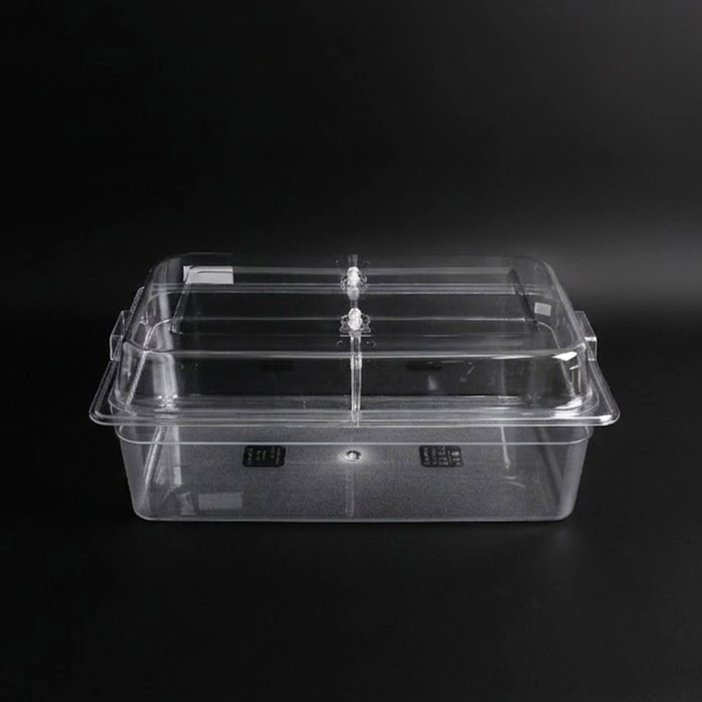 ��ǰ ������